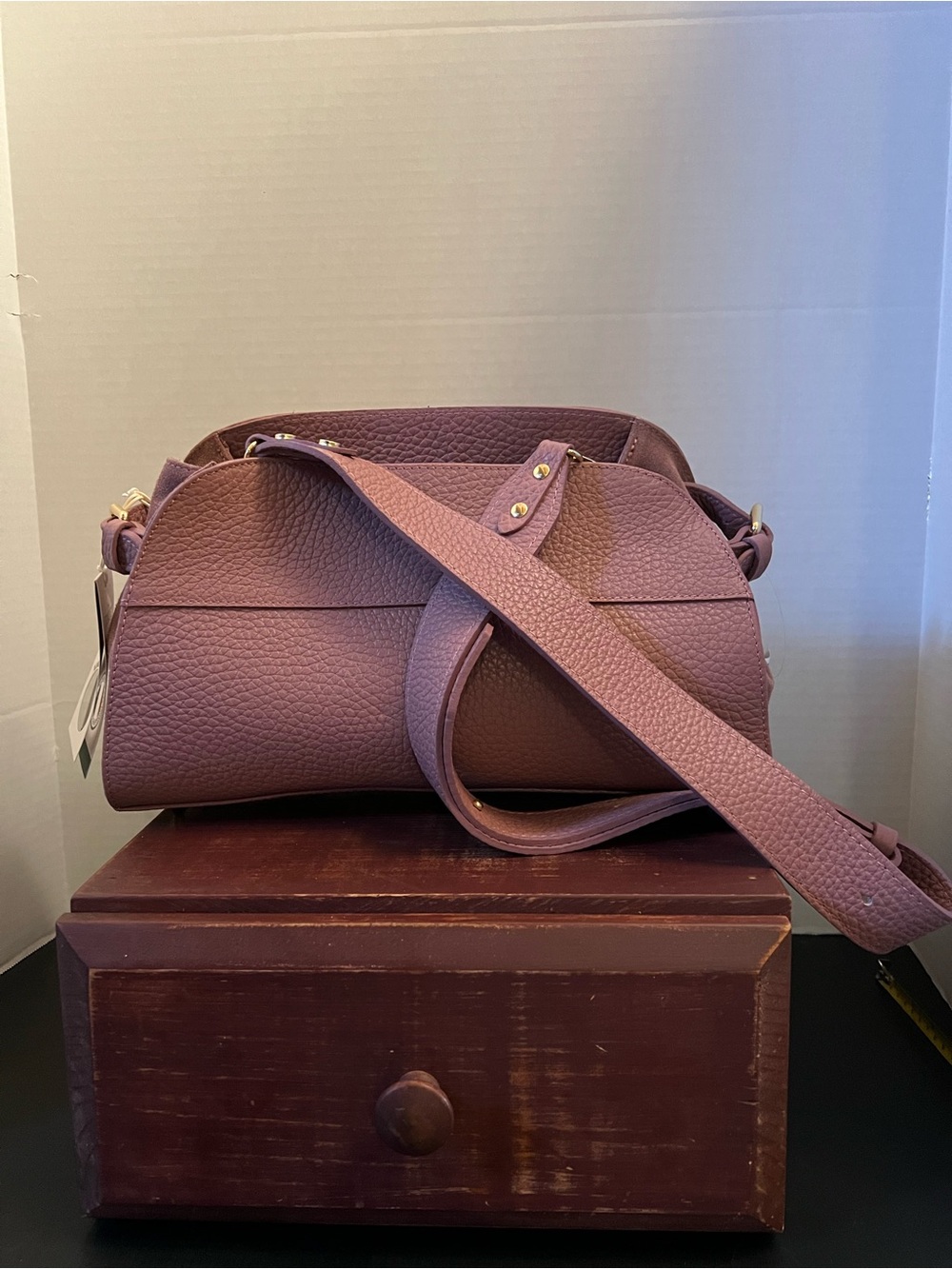 Anna Paola Textured Mauve Crossbody Shoulder Bag
